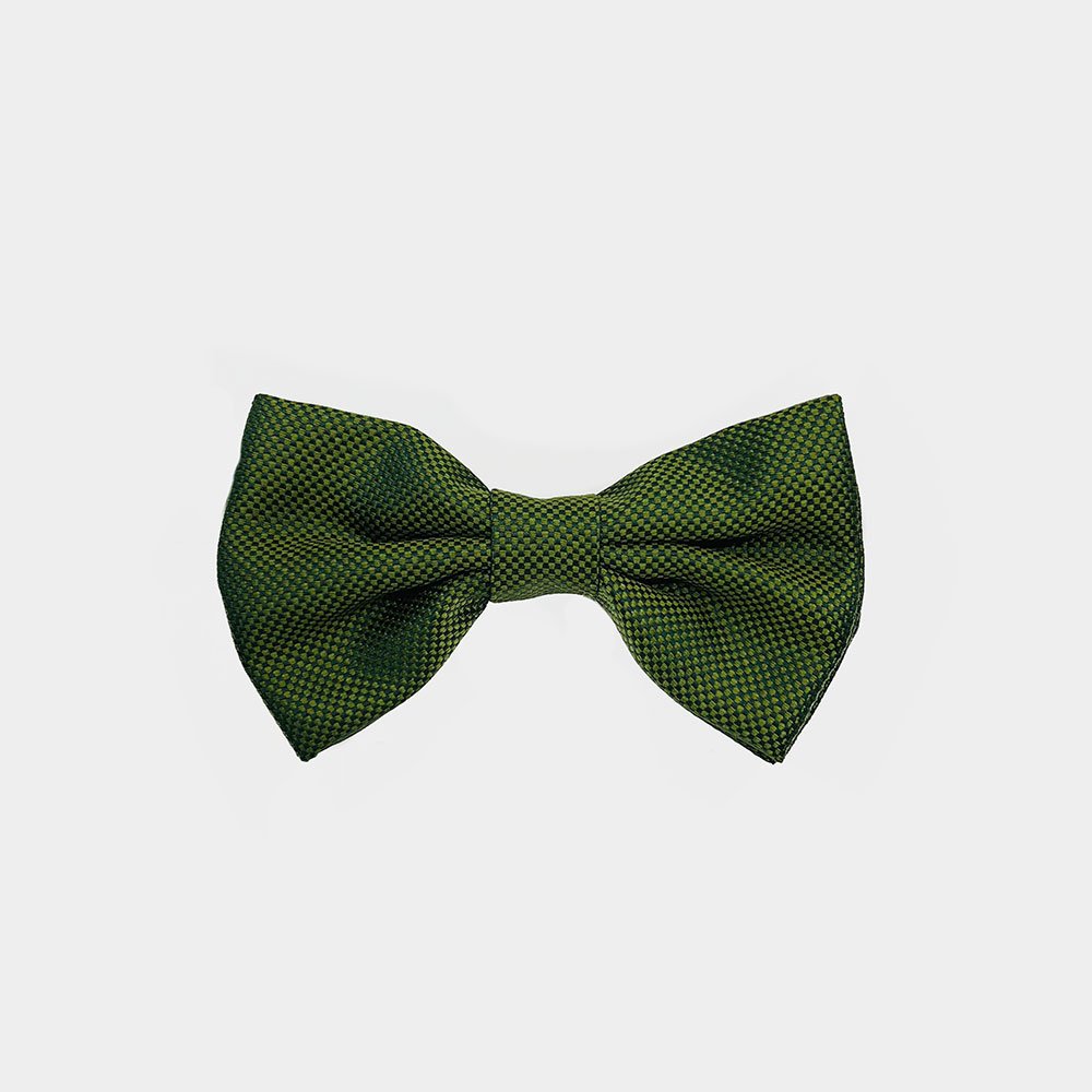 Strikken Van Gierremilano In Het Groen In Model 