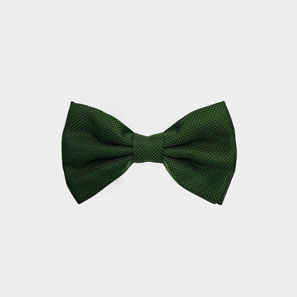 Strikken Van Gierremilano In Het Groen In Model 