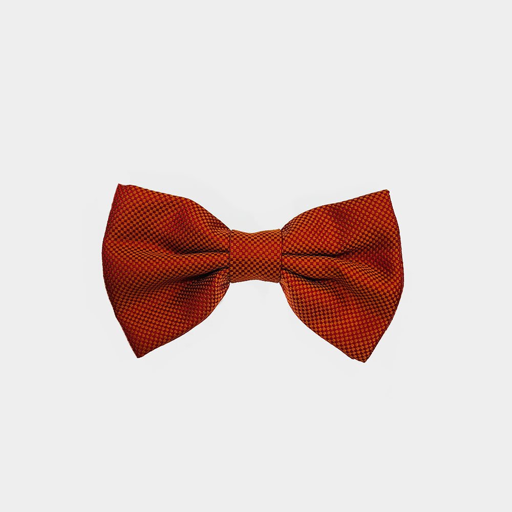 Strikken Van Gierremilano In Het Oranje In Model 