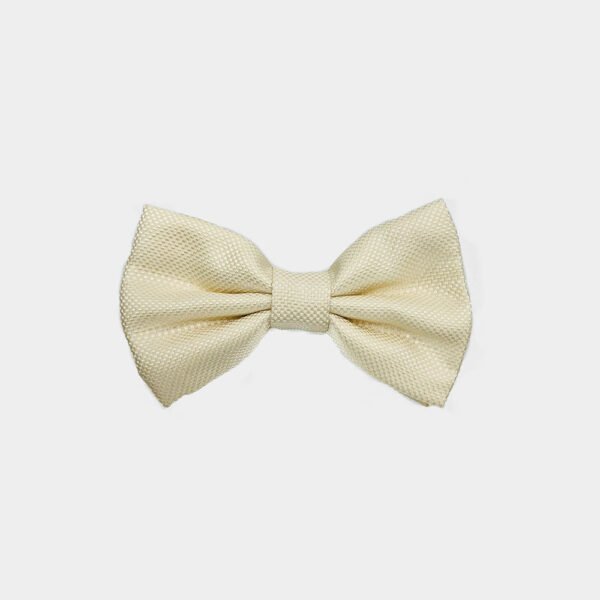 Strikken Van Gierremilano In Het Beige In Model 